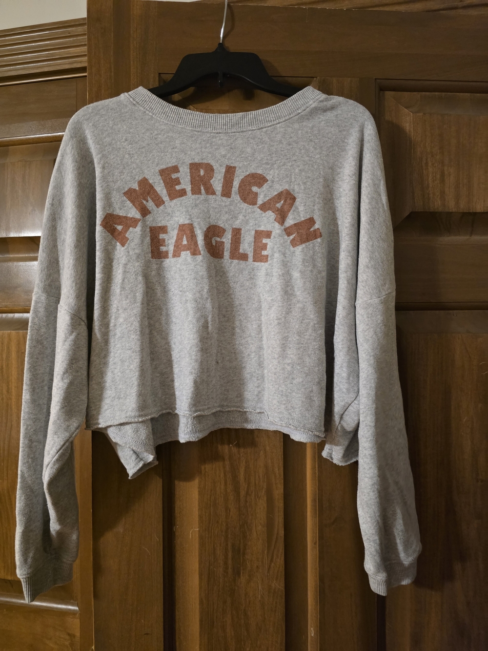 American Eagle Outfitters Gray Cropped Sweatshirt with Rust Lettering